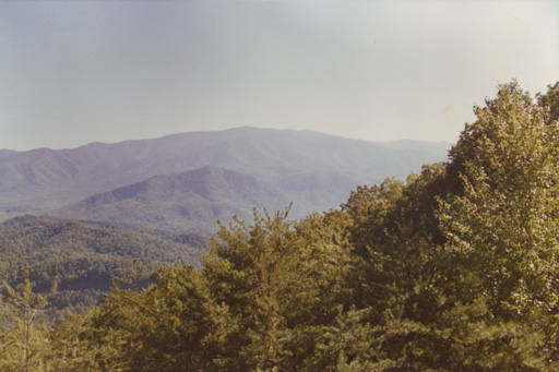 A daylight example of the view from the parkway.